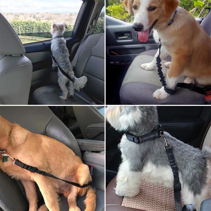 Avtoit | Adjustable Safety Belts for Dogs