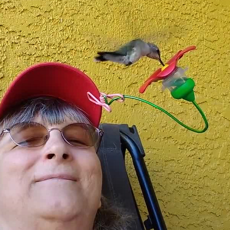 Avtoit | Hat Clip Hummingbird Feeder