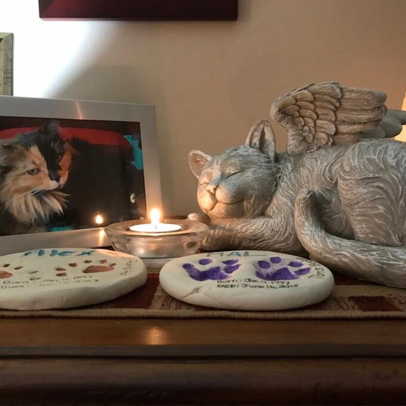 Avtoit | Angel Dog and Cat Statue