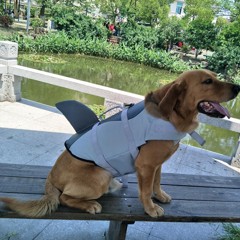 Avtoit | Dog Swim Safety Jacket