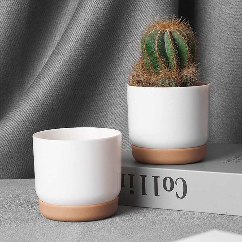 Avtoit | Self-watering flower pot for orchids and plants – Plastic plant container