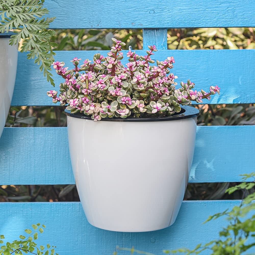 Avtoit | Self-watering hanging plant pot – Modern flower pot for wall mounting