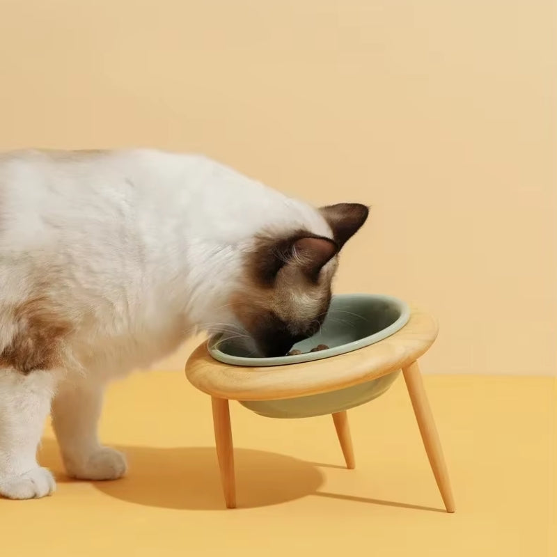 Avtoit | Misha Ceramic Elevated Cat Bowl with Wooden Stand