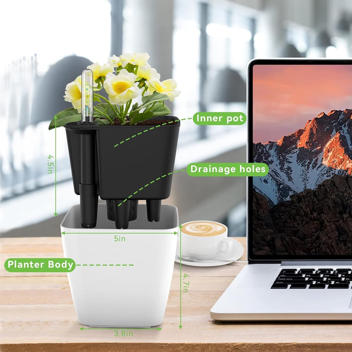 Avtoit | Flower pot with irrigation system – Self-watering plant pot for indoor and outdoor use