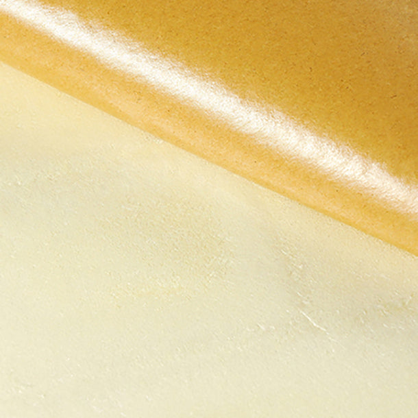 Avtoit | Wall paneling Vinyl Peel and Stick Smooth Waterproof Interior Wall Paneling