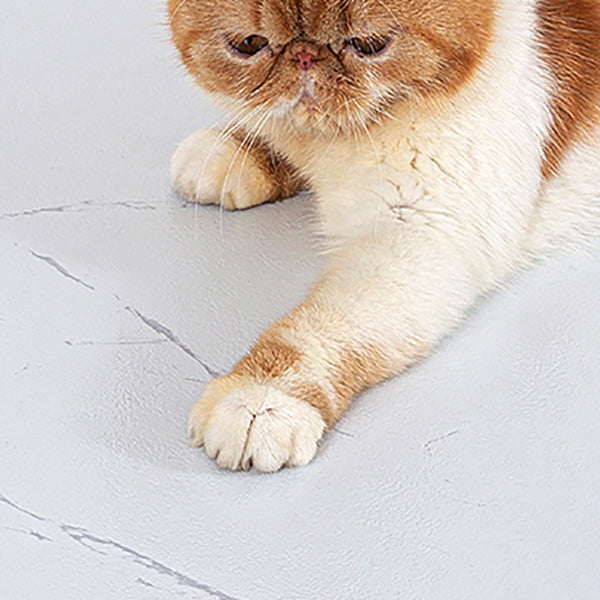 Avtoit | Modern Home Flooring Peel and Stick Marble Print Vinyl Floor