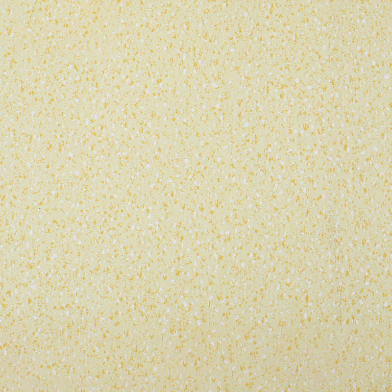 Avtoit | Indoor Flooring Peel and Stick Coiled PVC 200cm Waterproof Vinyl Flooring