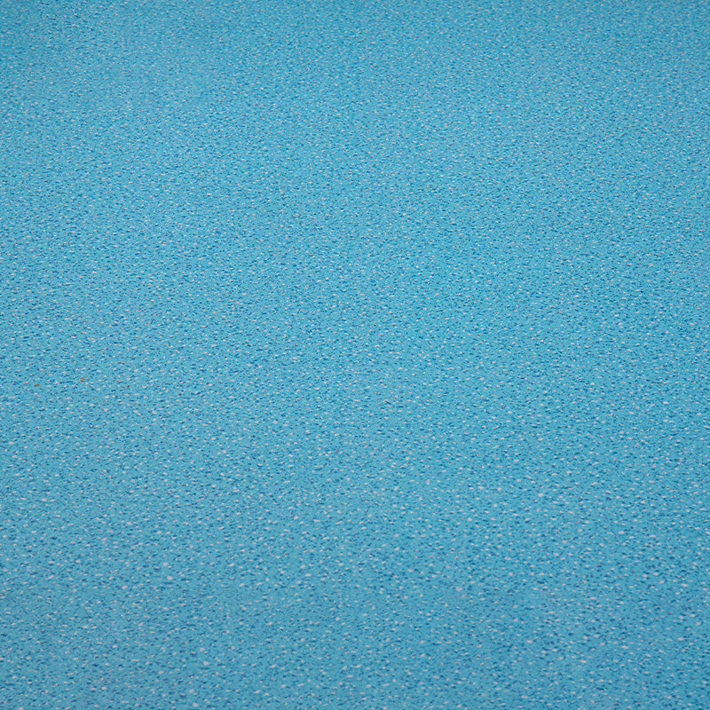Avtoit | Indoor Flooring Peel and Stick Coiled PVC 200cm Waterproof Vinyl Flooring