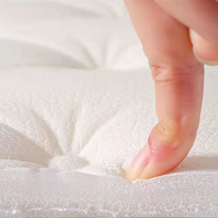 Avtoit | Plastic Back Panels For Pulling Off and Attaching Waterproof Back Panels