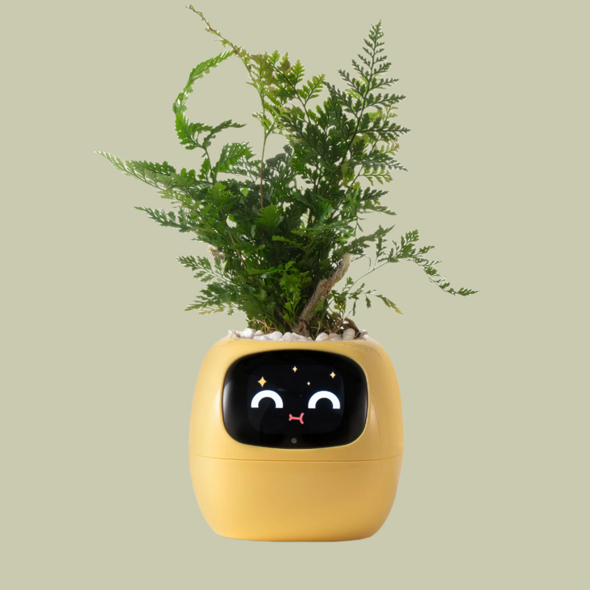 Avtoit | VerdeGlow – Self-Watering Smart Plant Pot | Automatic Irrigation | Modern Indoor Planter