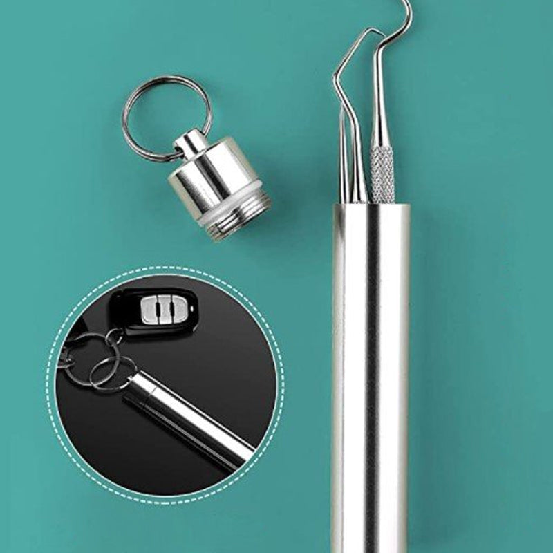 Avtoit | Stainless Steel Toothpick Set