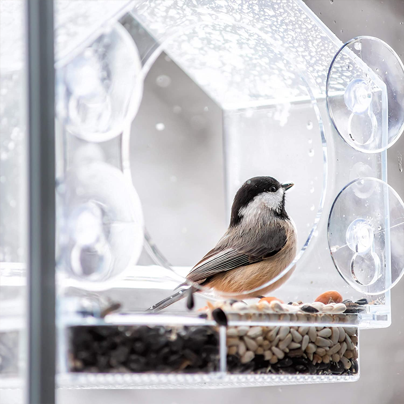Avtoit | Window Bird Feeder House