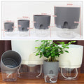 Avtoit | Self-watering Hydro-Flower Pot
