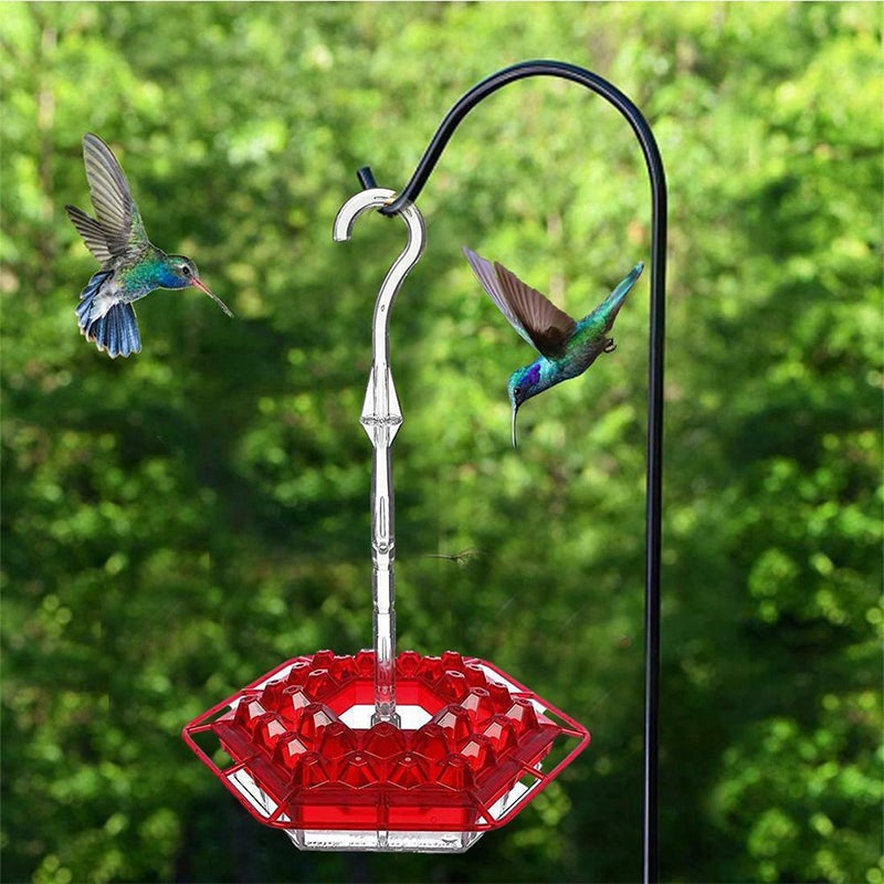 Avtoit | New Hummingbird Feeder