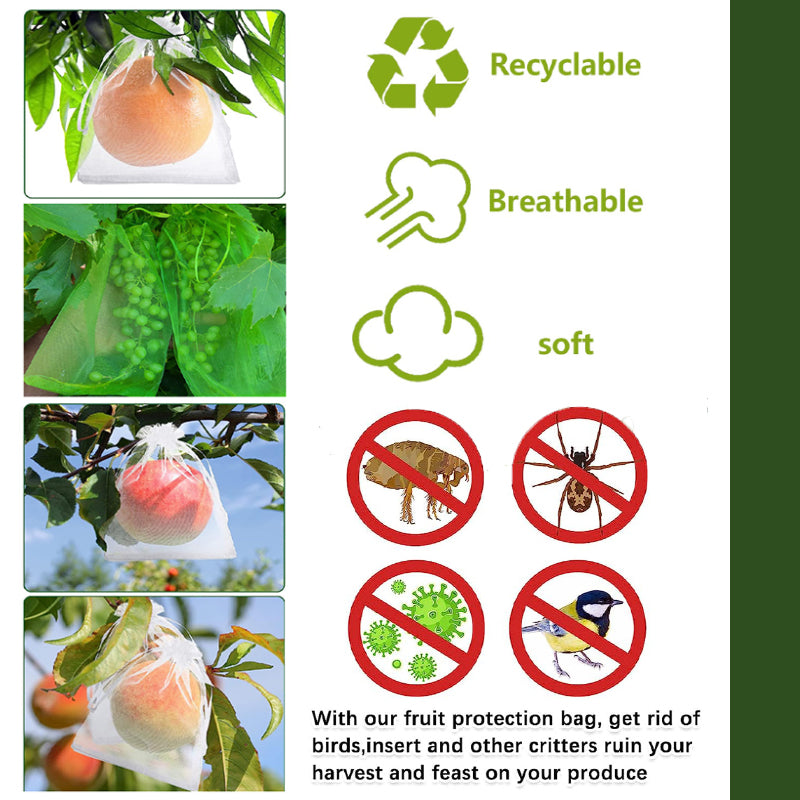 Avtoit | Fruit Protection Bag (100 PCS)