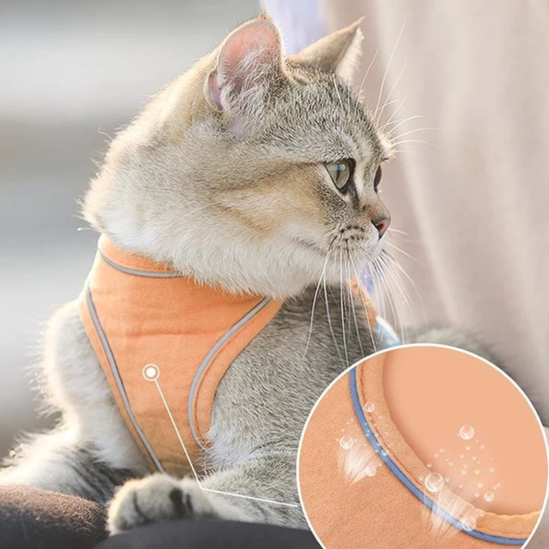 Avtoit | Cat Vest Harness and Leash Set
