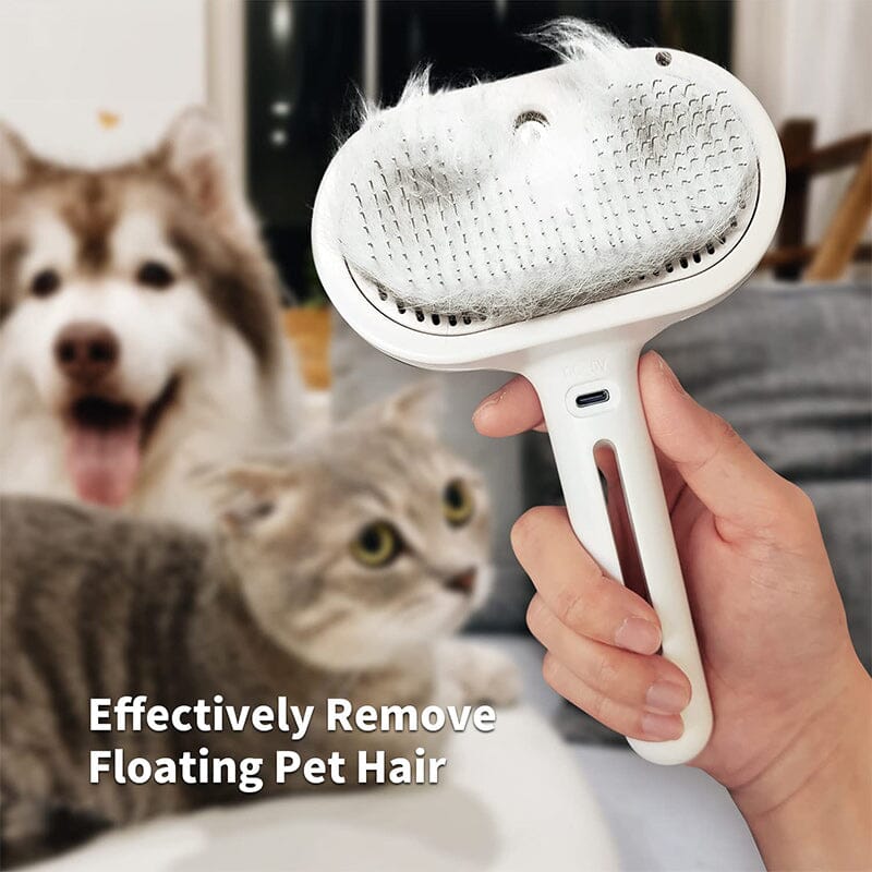 Avtoit | Spray Cat Brush