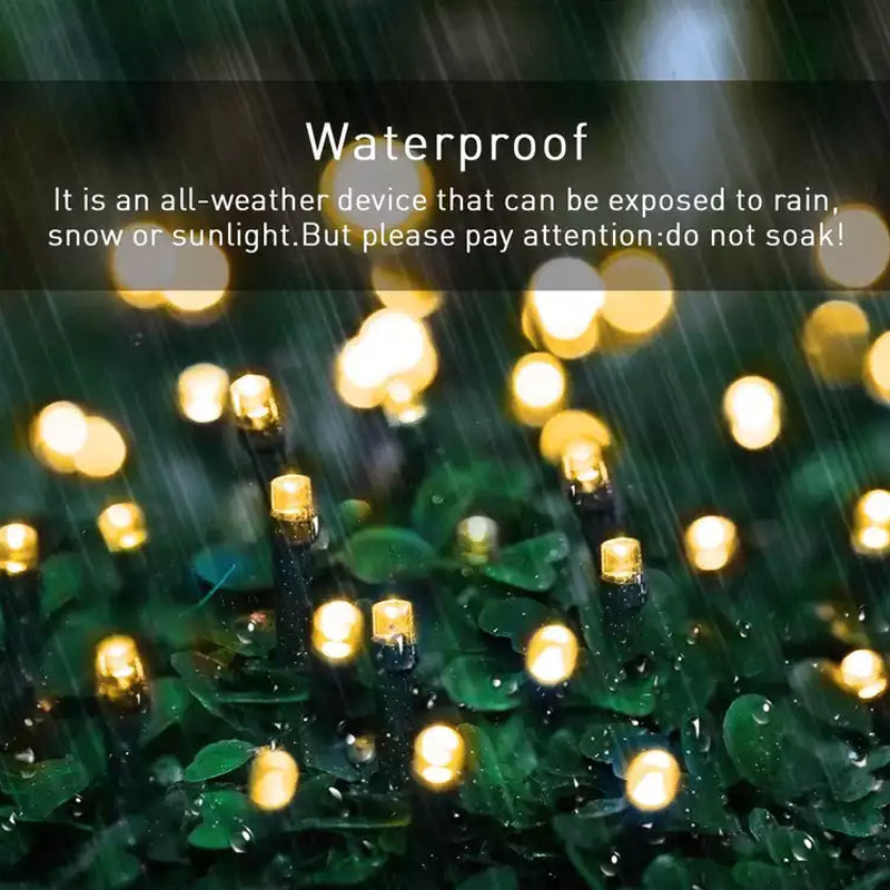 Avtoit | Outdoor Solar String Lights
