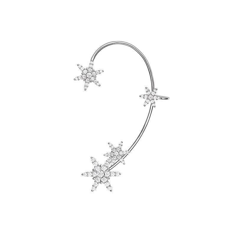 Avtoit | Shiny Zircon Earrings