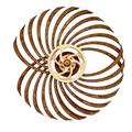 Avtoit | Handmade Kinetic Sculpture
