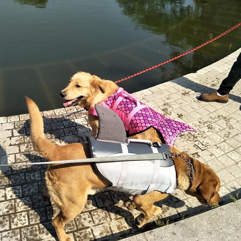 Avtoit | Dog Swim Safety Jacket