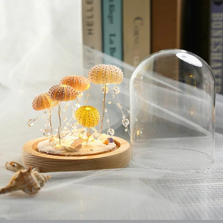 Avtoit | LumiCraft – Unique DIY table lamp with natural sea shell for a cozy décor