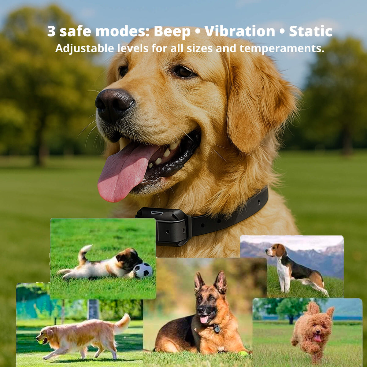 Avtoit | 800M Rechargeable Electric Dog Training Collar | Waterproof, Remote Control & Ideal for Effective Dog Training