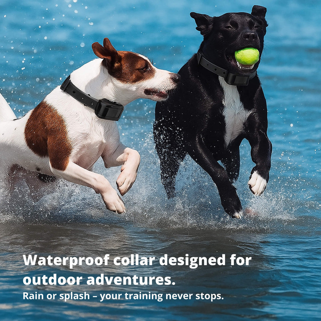 Avtoit | 800M Rechargeable Electric Dog Training Collar | Waterproof, Remote Control & Ideal for Effective Dog Training