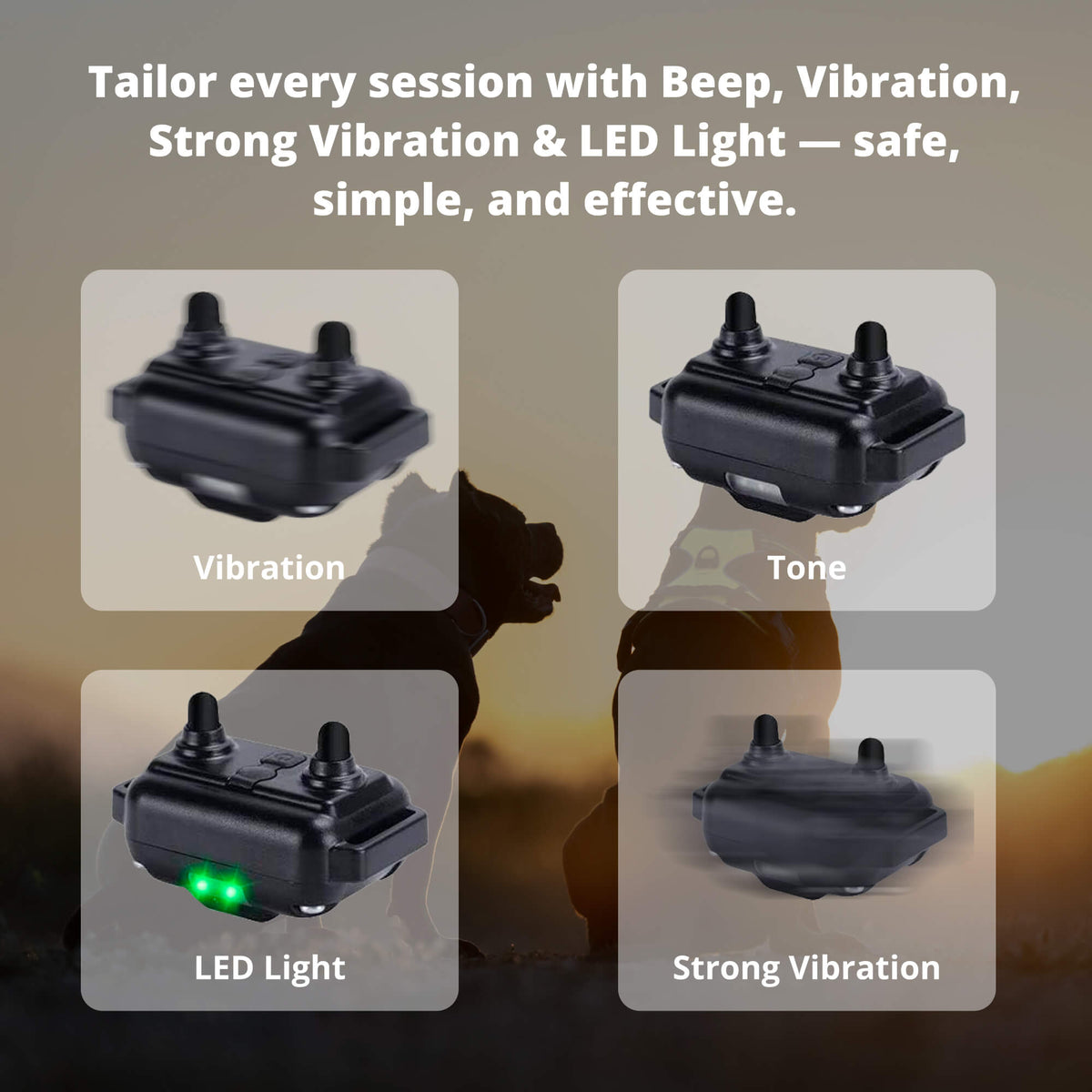 Avtoit | 800M Rechargeable Electric Dog Training Collar | Waterproof, Remote Control & Ideal for Effective Dog Training