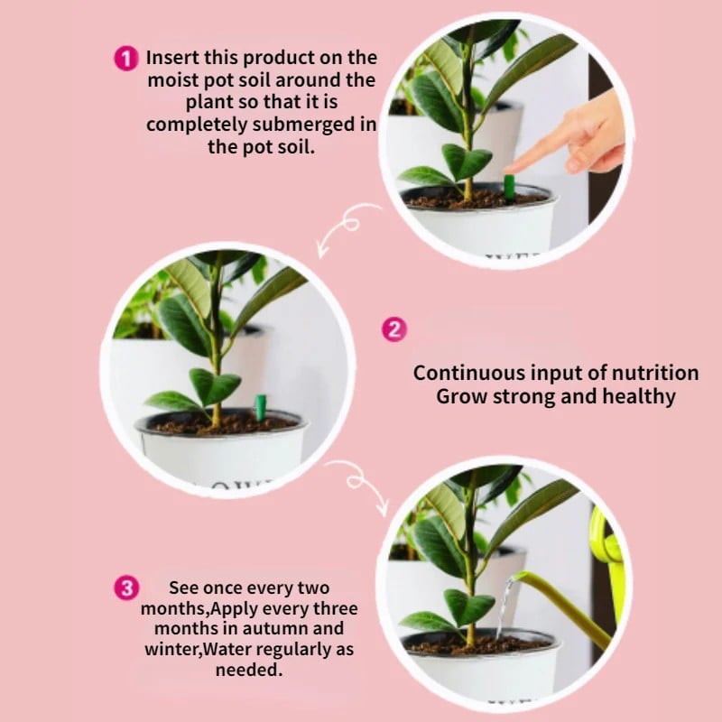 Avtoit | Plant fertilizer sticks – Long lasting fertilizer for healthy growth