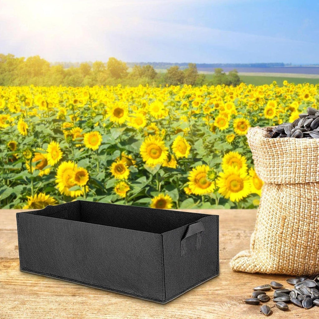 Avtoit | Foldable storage box made of felt for plants with handles