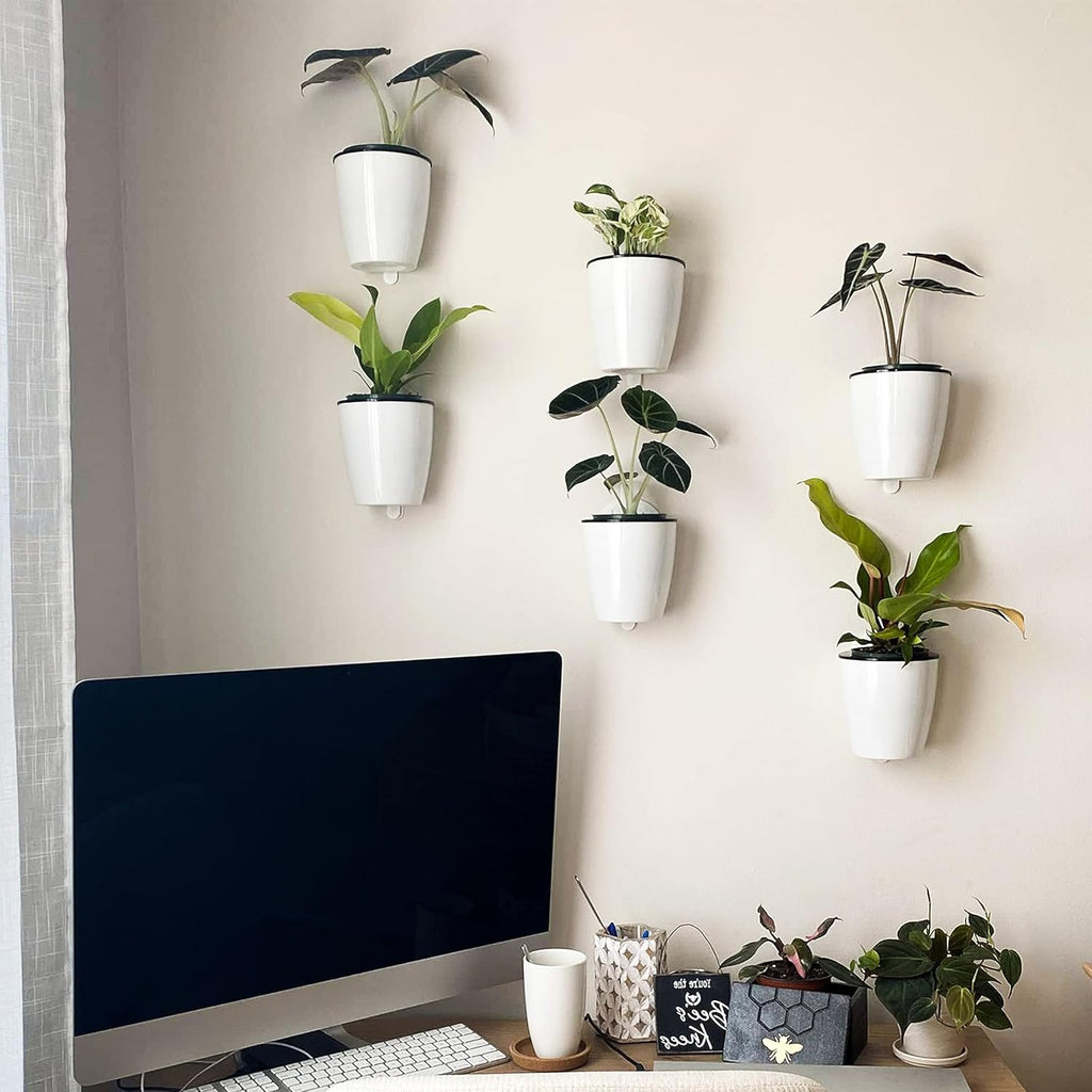 Avtoit | Self-watering hanging plant pot – Modern flower pot for wall mounting