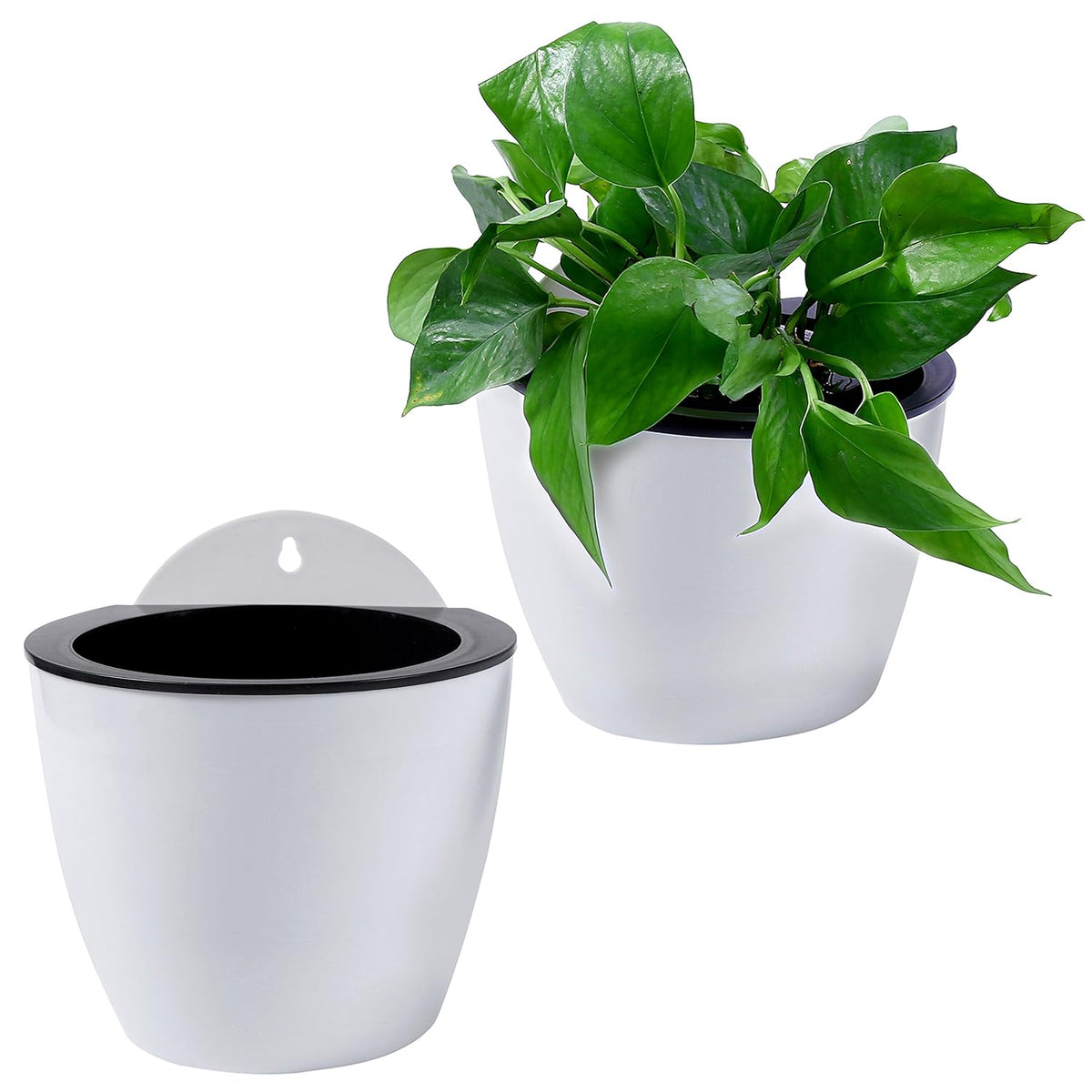 Avtoit | Self-watering hanging plant pot – Modern flower pot for wall mounting