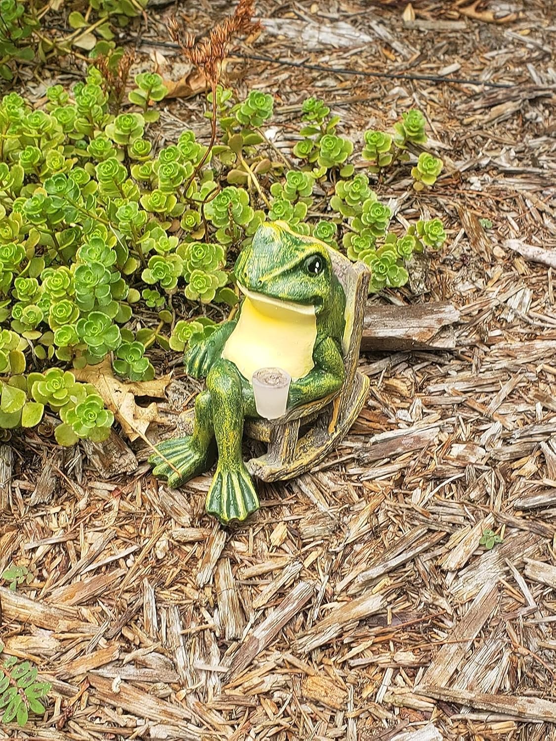 Avtoit | FrogShine - Solar Garden Lighting Sculpture