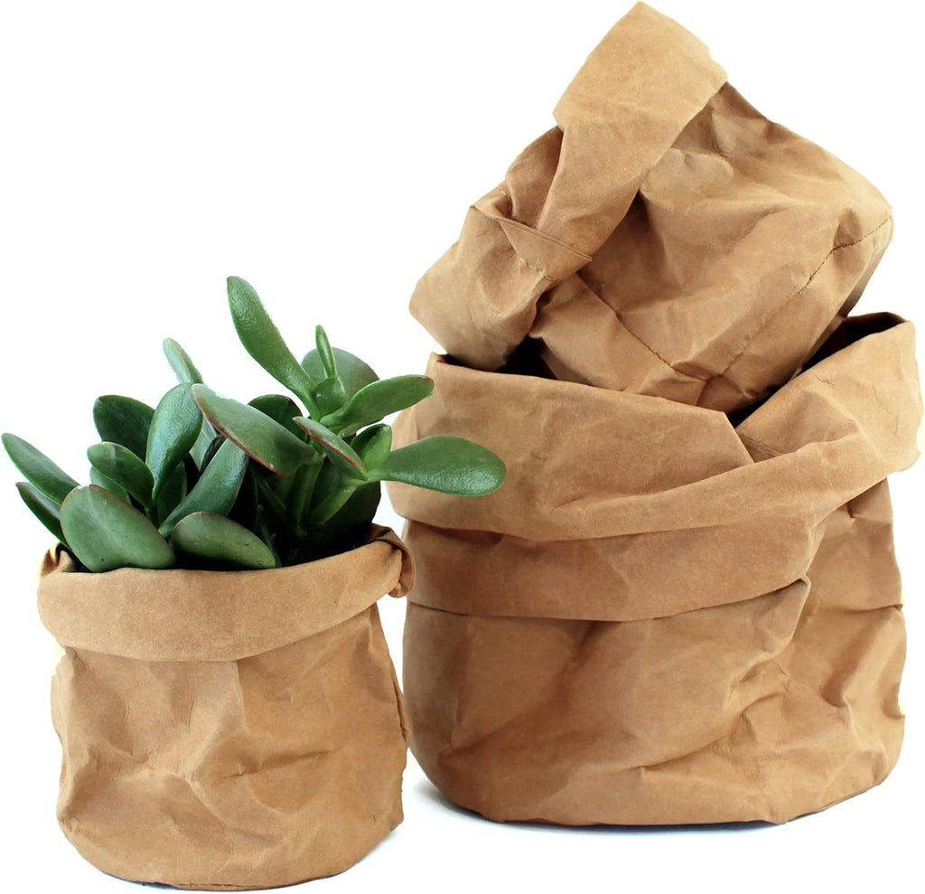 Avtoit | Stylish plant pots made of paper for modern decoration
