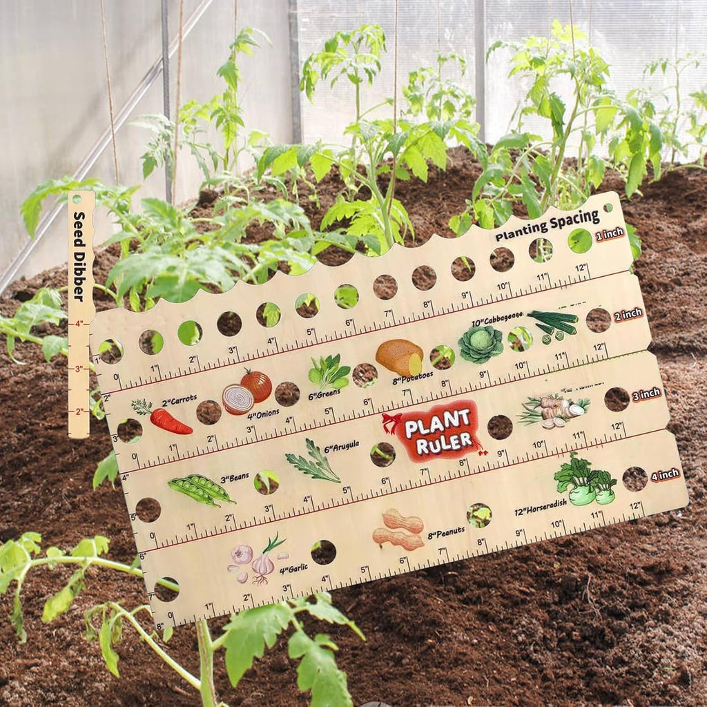 Avtoit | Wood Plant Ruler – Multifunctional Seed Measuring Tool for Garden