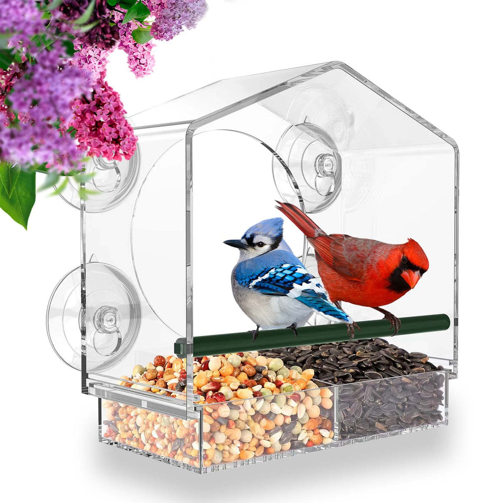 Avtoit | Bird feeder in the window for outdoor use