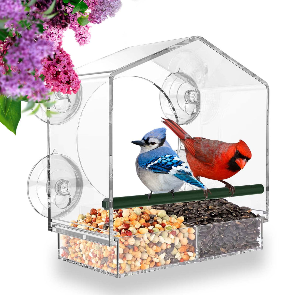Avtoit | Bird feeder in the window for outdoor use