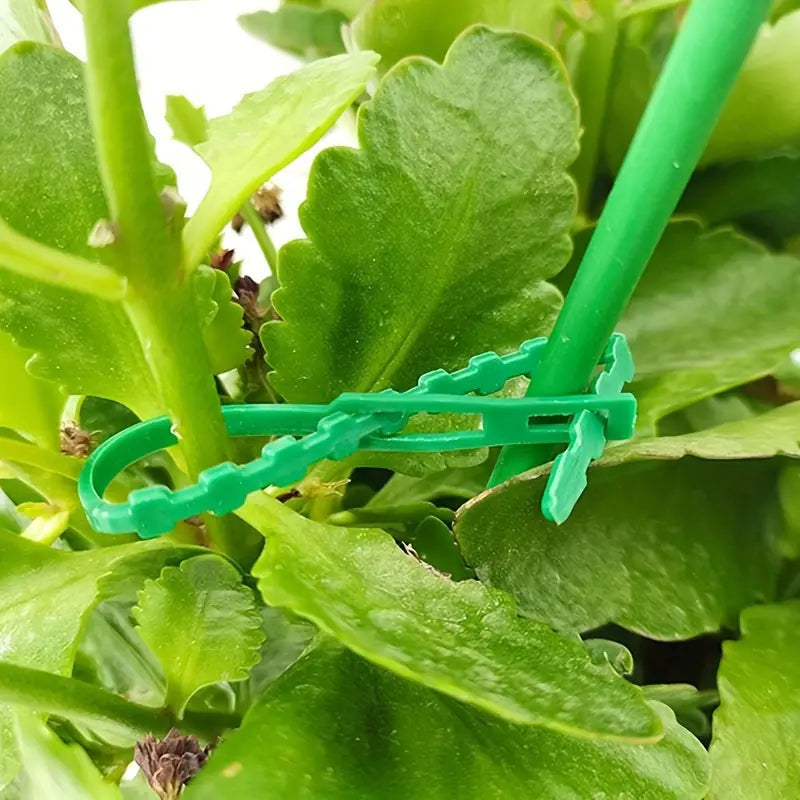 Avtoit | Plant fastening cable tie set for stable securing of plants