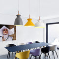 Avtoit | AuroraLite Nordic Pendant Light | Metal Design | 1-Light | Modern Color Options