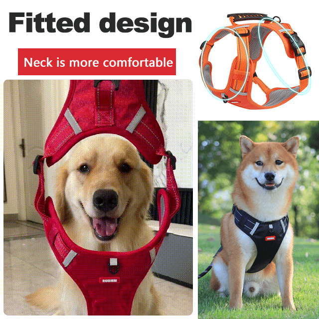 Avtoit | No Pull Dog Harness for Pets