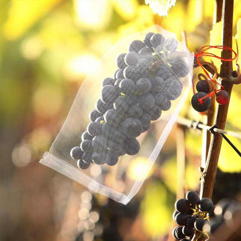 Avtoit | Nylon Fruit Exclusion Bags (100 pcs)