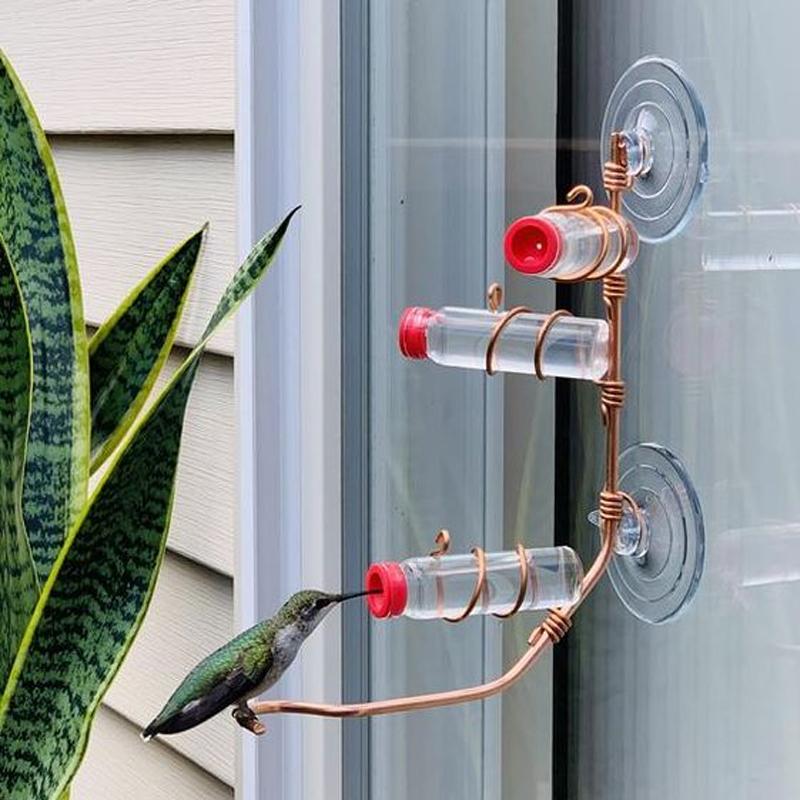 Avtoit | Window Hummingbird Feeder