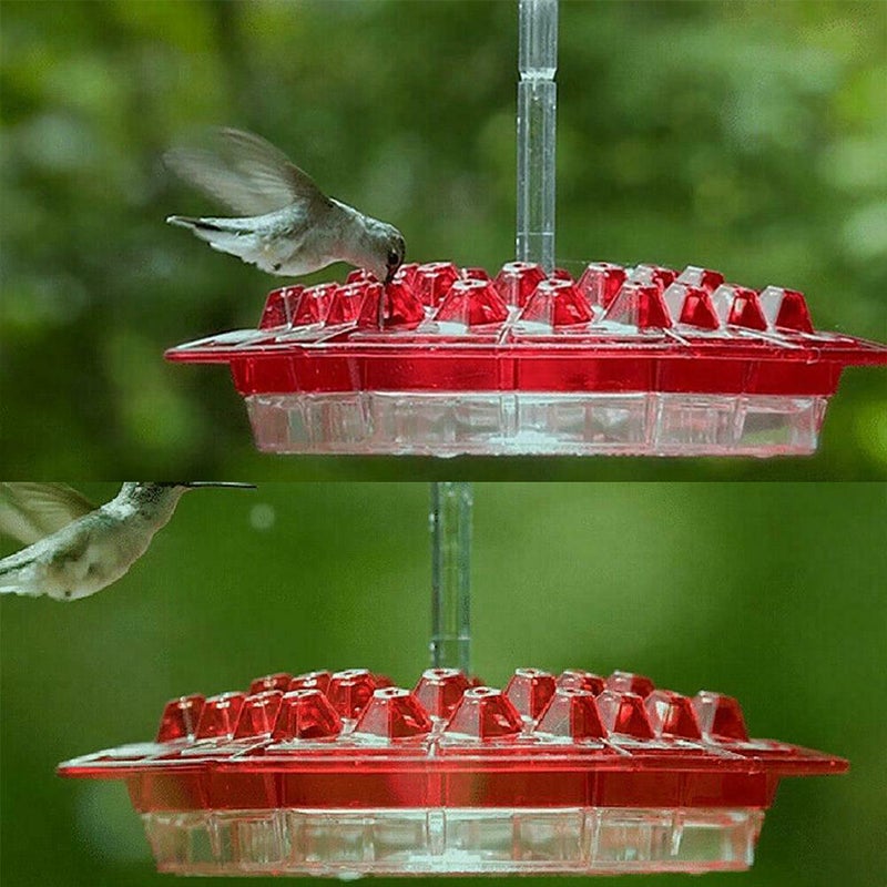 Avtoit | New Hummingbird Feeder