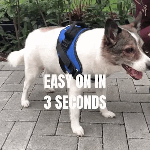 Avtoit | Anti Choke Dog Harness