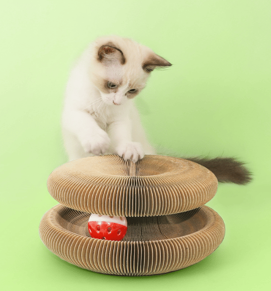 Avtoit | Magic Cat Scratch Board(with ball )