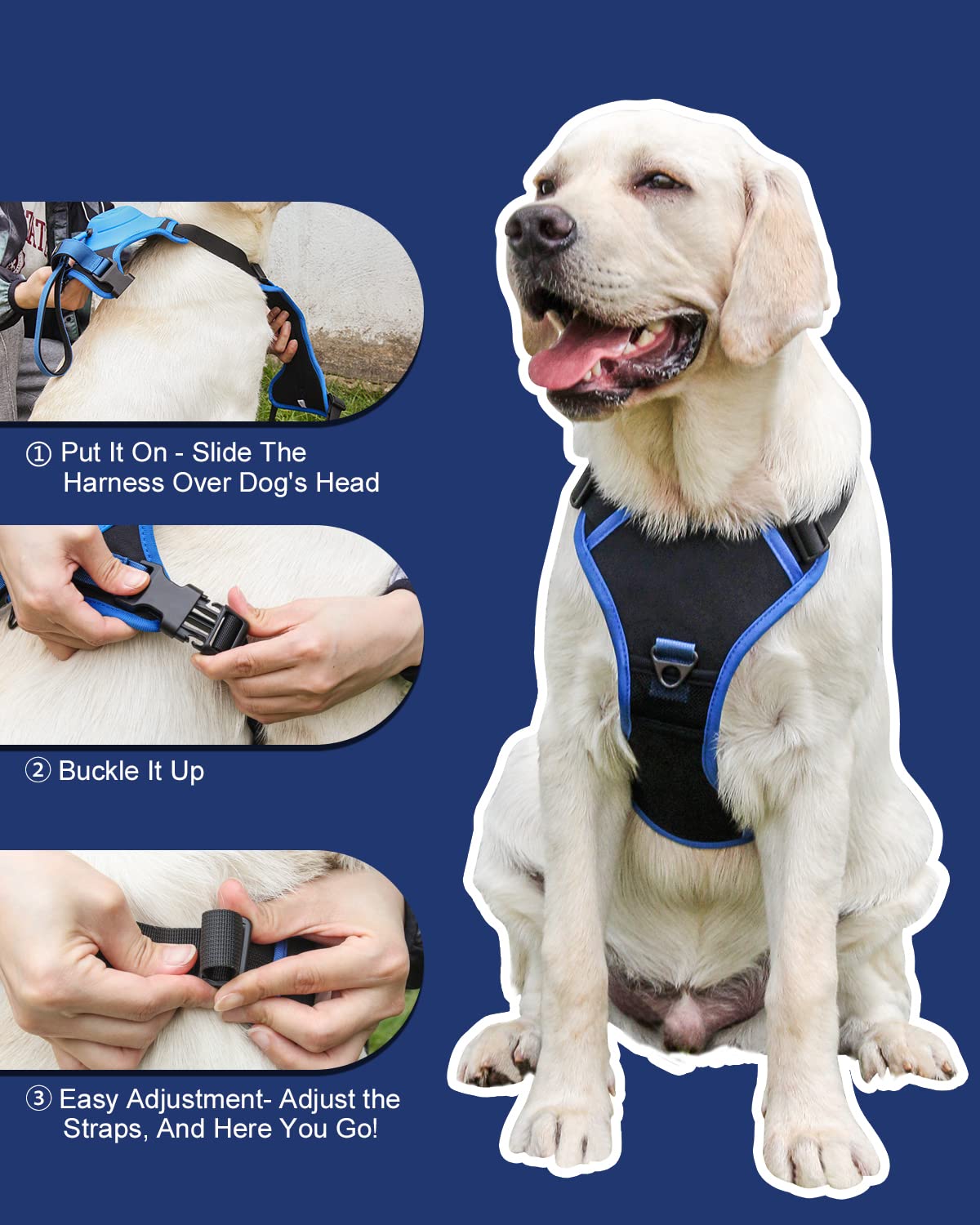 Avtoit | mamymarket™ - Dog Harness and Retractable Leash Set All-in-One