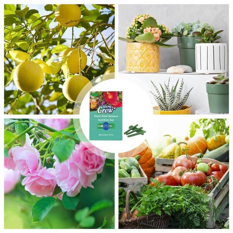 Avtoit | Plant fertilizer sticks – Long lasting fertilizer for healthy growth