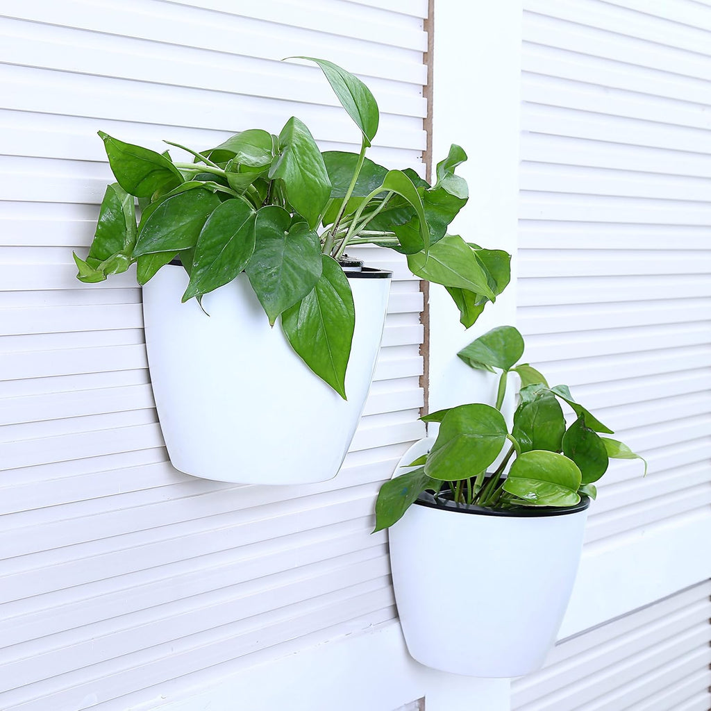 Avtoit | Self-watering hanging plant pot – Modern flower pot for wall mounting