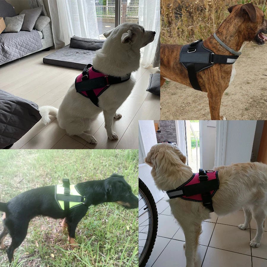 Avtoit | Anti Choke Dog Harness
